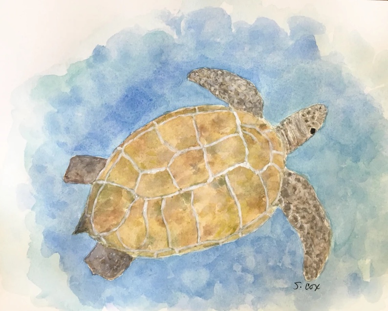 Sea Turtle (a beach painting) by Shelly Cox