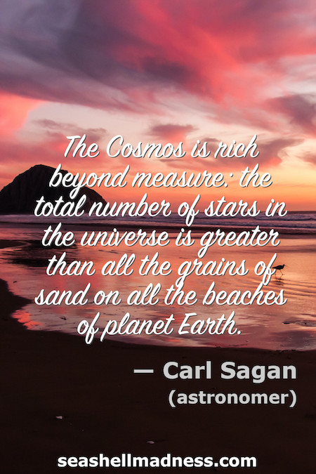 Carl Sagan Beach Quote: The total number of stars in the universe is greater than all the grains of sand on all the beaches on planet Earth.