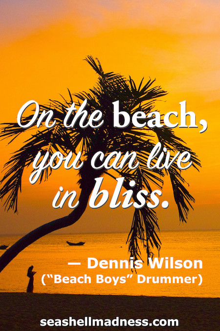 Dennis Wilson Beach Quote: On the beach, you can live in bliss