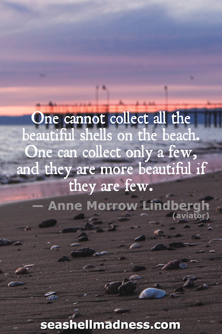 Anne Morrow Lindbergh Beach Quote: One cannot collect all the beautiful shells on the beach. One can collect only a few, and they are more beautiful if they are few.