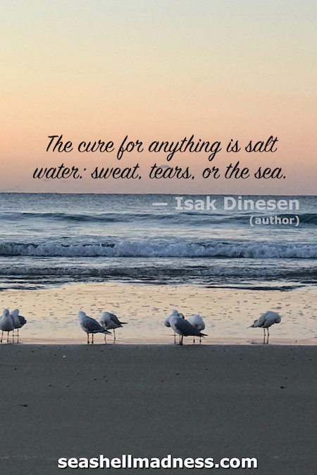 Isak Dinesen Beach Quote: The cure for anything is salt water: sweat, tears, or the sea.