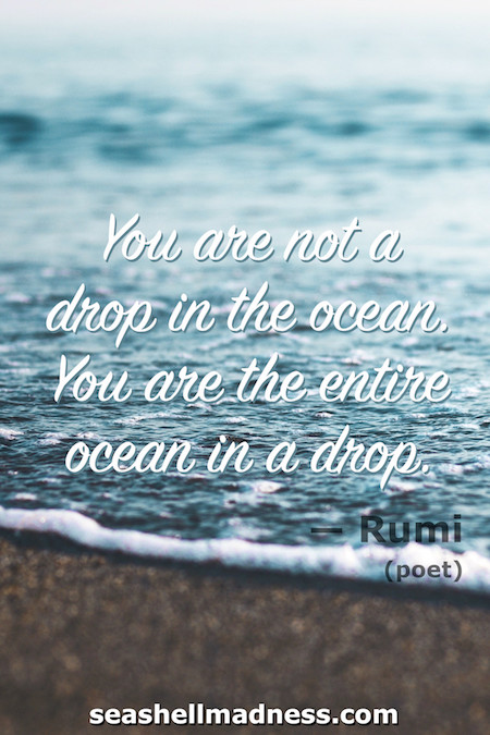 Rumi Beach Quote: You are not a drop in the ocean, you are the entire ocean in a drop.