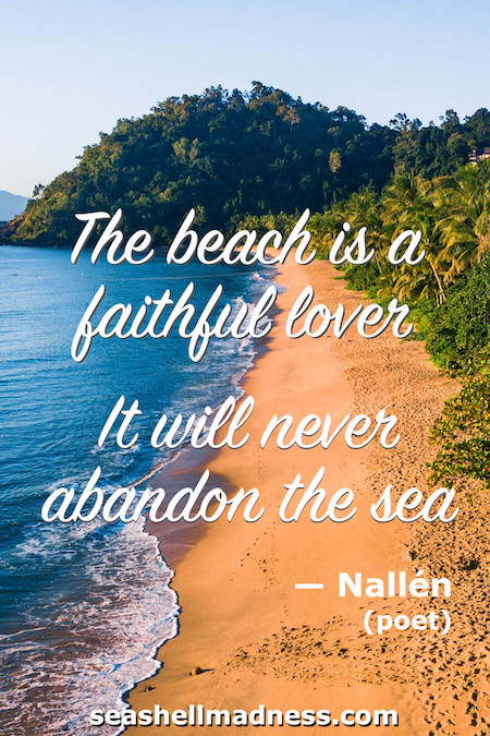 11+ Beach Quotes Morning