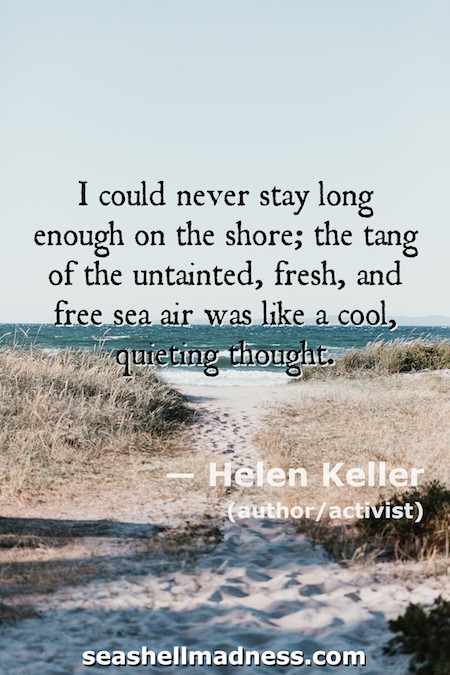 Helen Keller Beach Quote: I could never stay long enough on the shore; the tang of the untainted, fresh, and free sea air was like a cool, quieting thought.