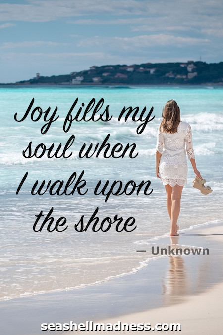 Beach Quote: Joy fills my sould when I walk upon the shore