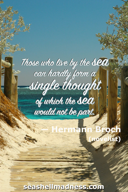 Hermann Broch Beach Quote: Those who live by the sea can hardly form a single thought of which the sea would not be part.