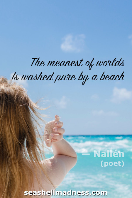 Beach Quote: The meanest of worlds is washed pure by a beach