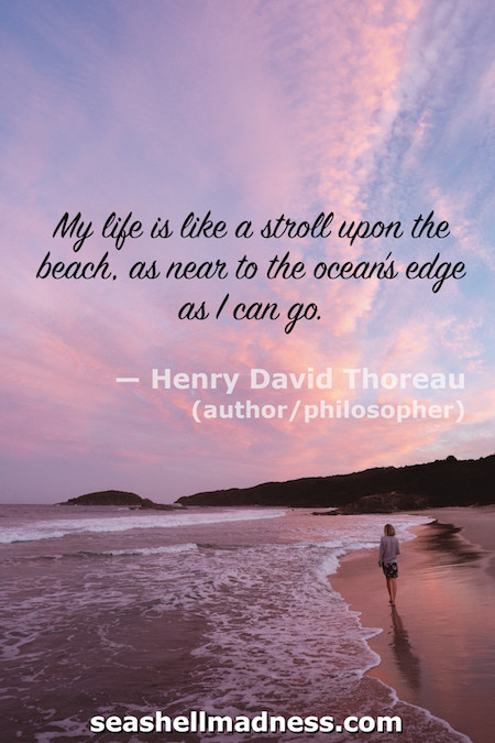 Henry David Thoreau Beach Quote: My life is like a stroll upon the beach, as near to the ocean's edge as I can go.