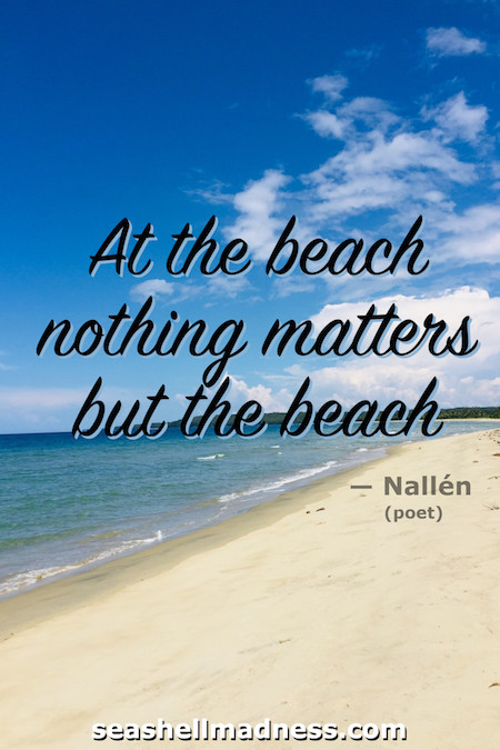 Nallen Beach Quote: At the beach nothing matters but the beach