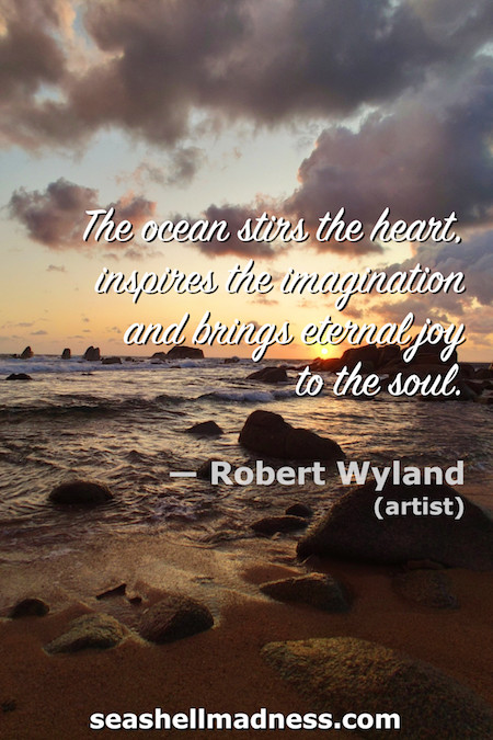 Robert Wyland Beach Quote: The ocean stirs the heart, inspires the imagination and brings eternal joy to the soul.