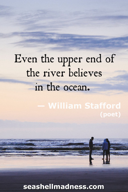 William Stafford Beach Quote: Even the upper end of the river believes in the ocean