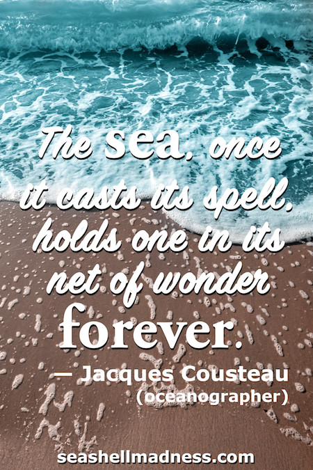 Jacques Cousteau Beach Quote: The sea, once it casts its spell, holds one it its net of wonder forever.