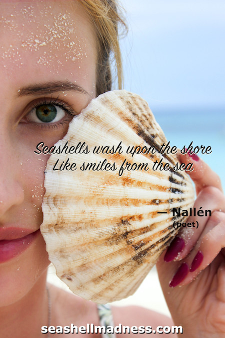 Beach Quote: Seashells wash upon the shore like smiles from the sea