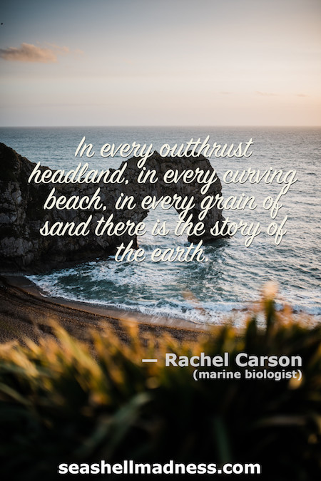 Rachel Carson Beach Quote: In every outthrust headland, in every curving beach, in every grain of sand there is the story of the earth.