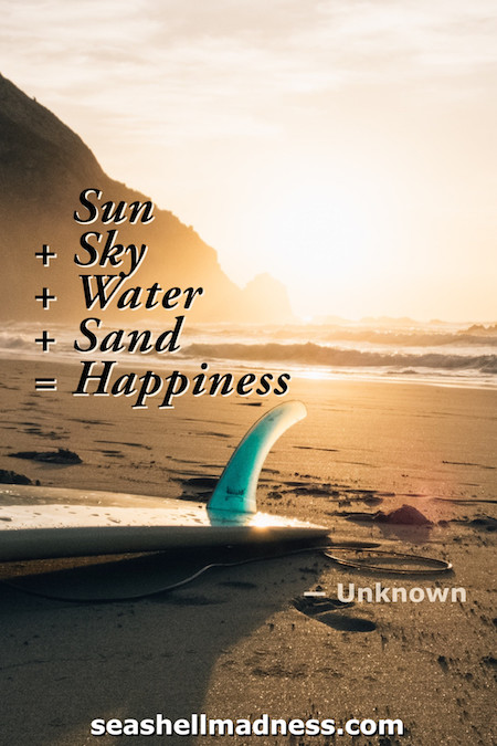 Unknown Author Beach Quote: Sun + Sky + Water + Sand = Happiness
