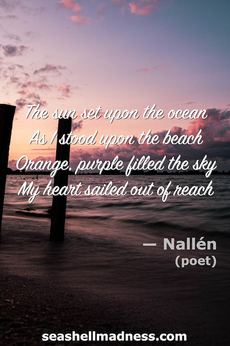 Beach Quote: The sun set upon the ocean. As I stood upon the beach, orange, purple filled the sky. My heart sailed out of reach.