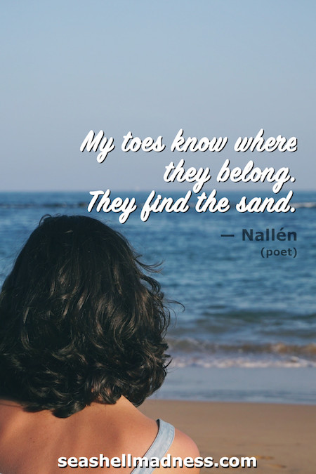 Beach Quote: My toes know where they belong. They find the sand.