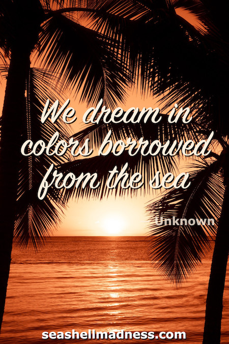 Unknown Author Beach Quote: We dream in colors borrowed from the sea