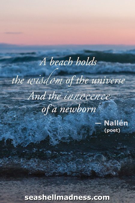 Beach Quote: A beach holds the wisdom of the universe and the innocence of a newborn