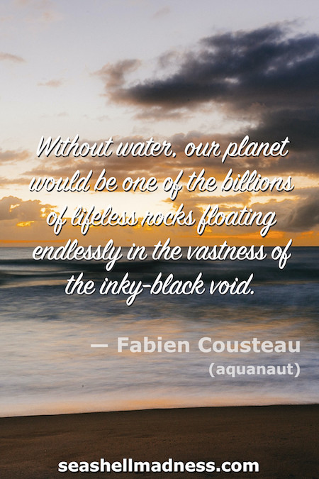 Fabien Cousteau Beach Quote: Without water, our planet would be one of the billions of liefeless rocks floating endlressly in the vastness of the inky-black void