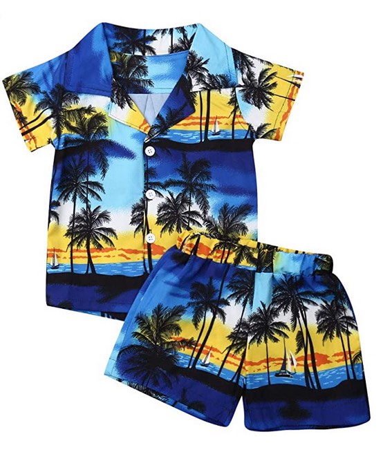 Baby Boy Short Sleeve Shirt & Shorts Beach Outfit