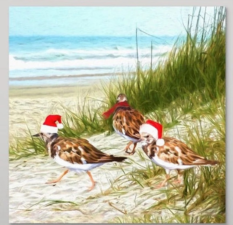 Sandpipers in Santa Hats