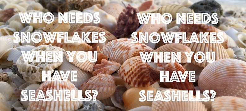 Who needs snowflakes when you have seashells?