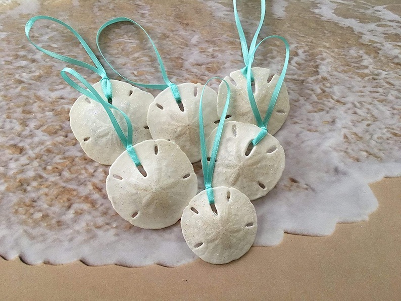 Sand Dollar Christmas Tree Ornaments with Aqua Ribbon<