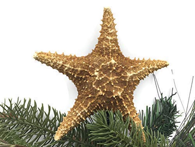 Caribbean Starfish Christmas Tree Topper