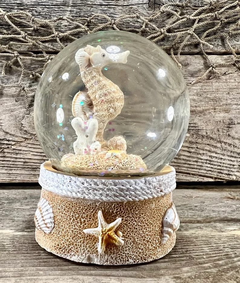 Sand and Seashells Seahorse Water Globe