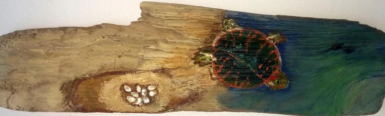 Turtle Laying Eggs, Painted on Driftwood by Deb Birkam