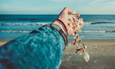 Seashells in the morning