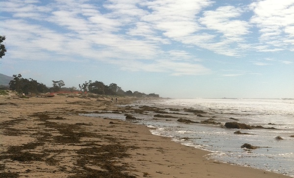 Carpinteria State Beach - Lots of shells, little sea glass