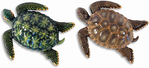 Assorted Sea Turtles