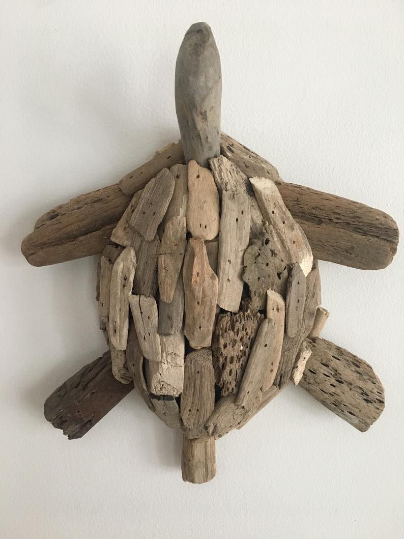 Driftwood Turtle