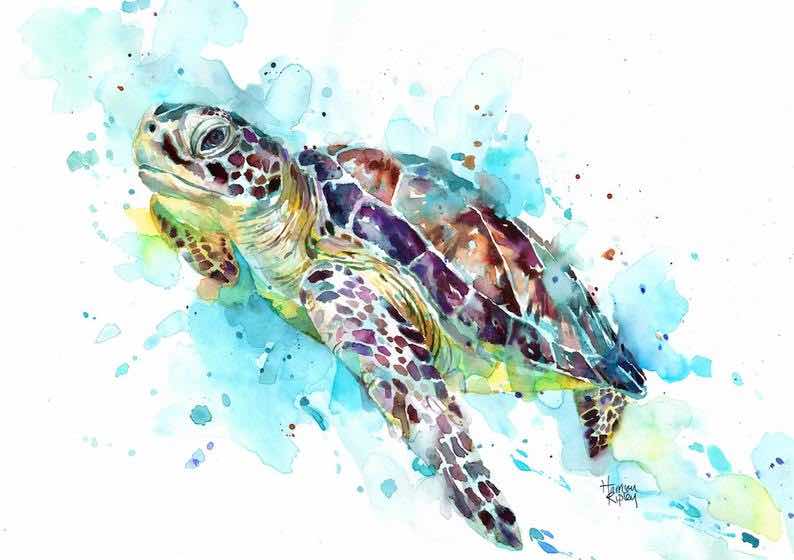 Sea Turtle Paintings ~ – Seashell Madness