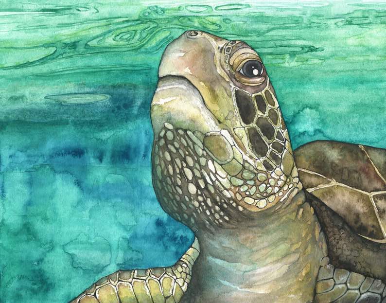 Sea Turtle Watercolor Painting Print