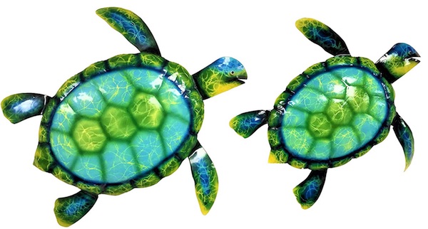 Ocean Sea Turtles