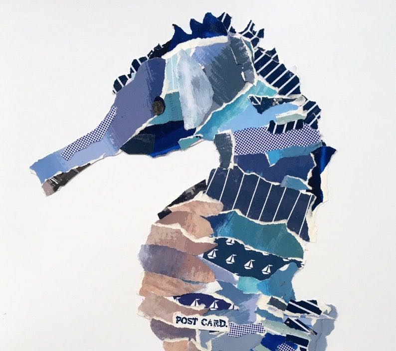 Seahorse Collage