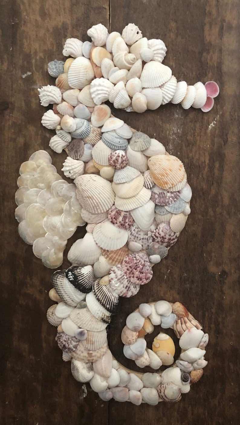 Shell Seahorse