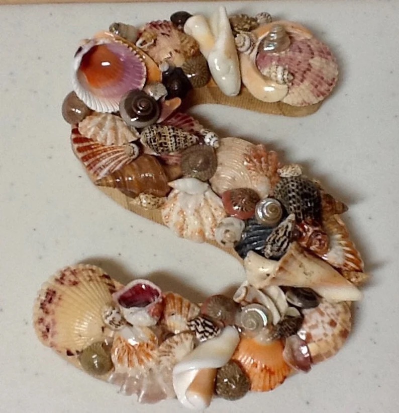 Sea Shell Art Wood Initial S by Bonnie