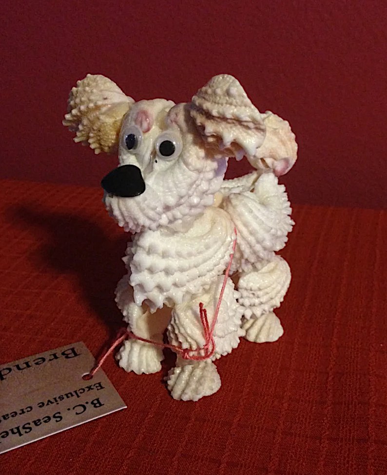 Seashell Dog by Brenda Casaravilla