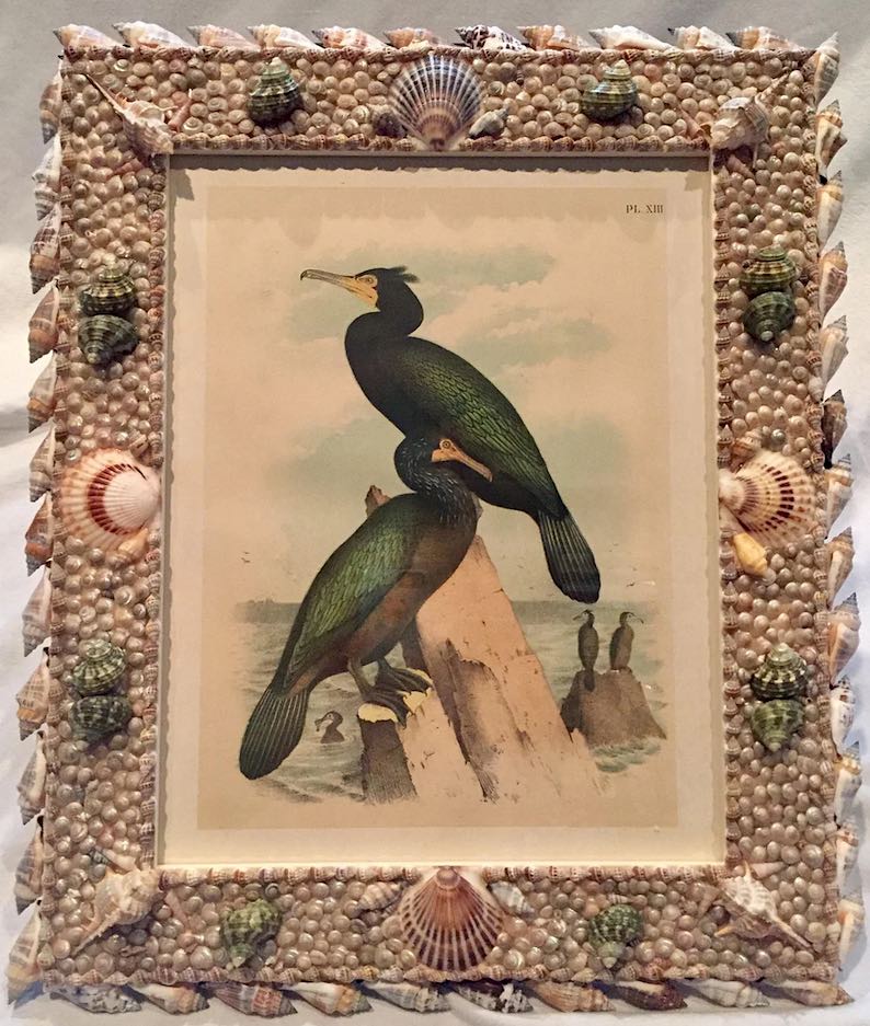 Antique Cormorant Print (Original, 1903) by Studer in Handmade Shell Frame  by Dolores Marchand