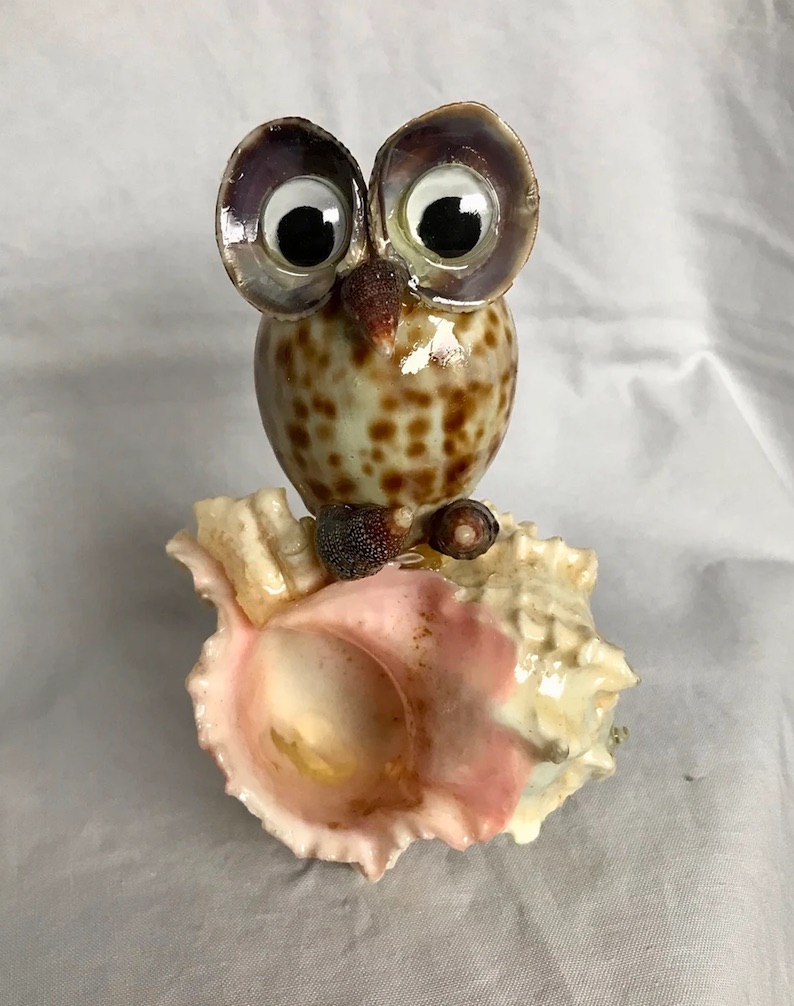 Tiger Cowrie Owl by Grace