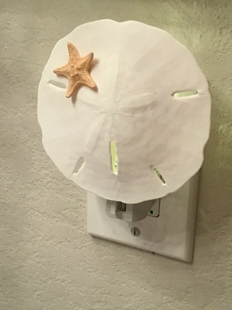 Sand Dollar Night Light by Hawaii Bob