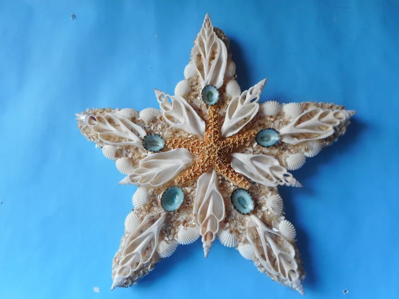 Seashell Starfish by Kari Carr