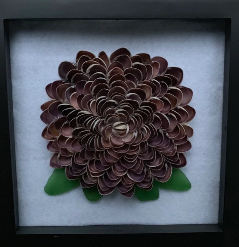 Seashell Flower Shadow Box (Purple Cay Cay Shells)  by Linsay Schauwecke