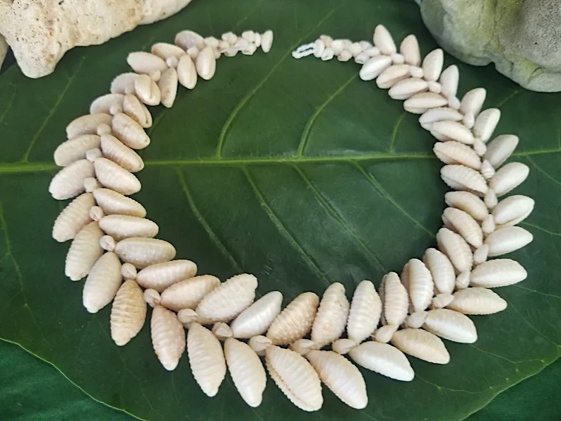 Cowrie Shell Necklace by Lonnie Coleman