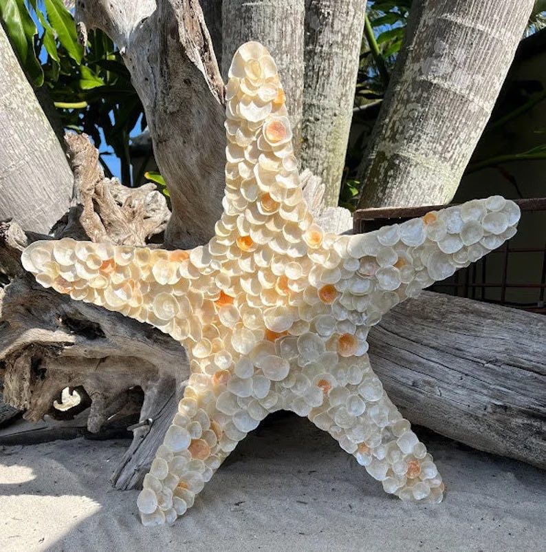 Starfish Embellished with Shells by Seanna