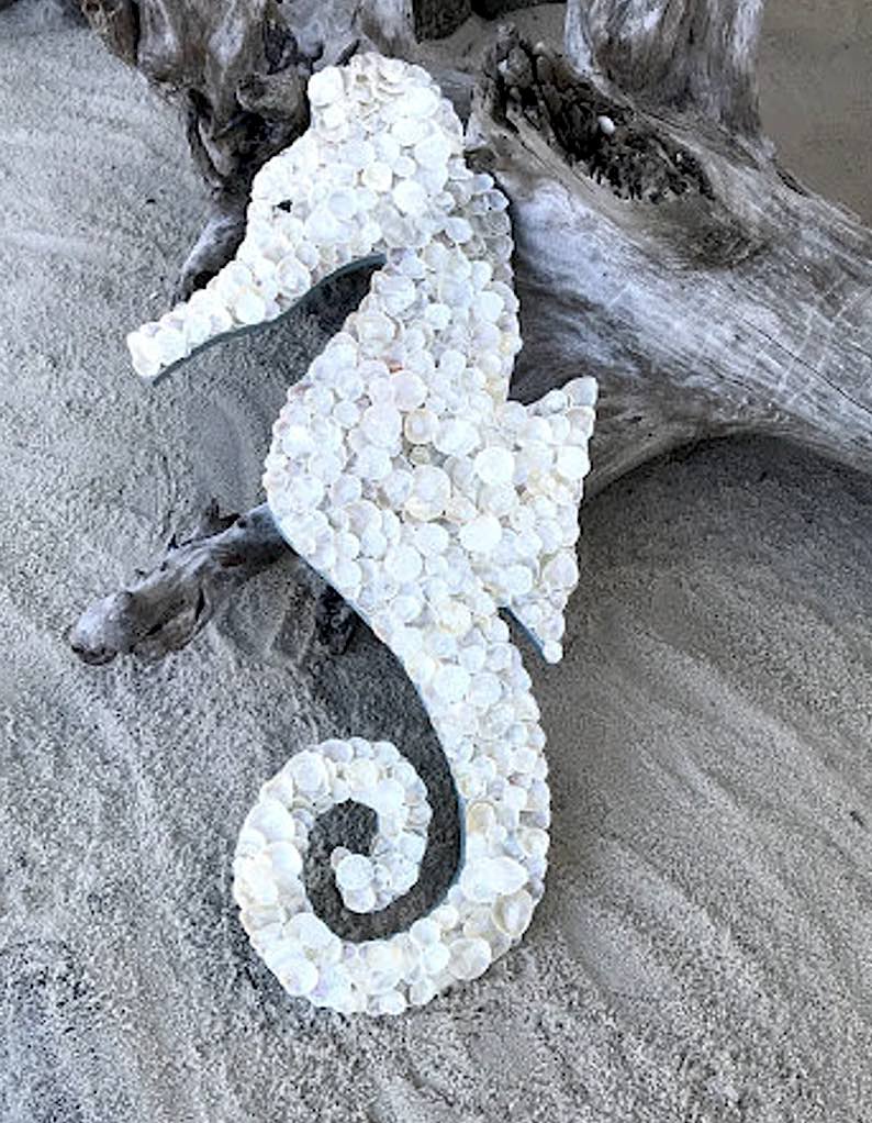 Seashell Seahorse by Seanna